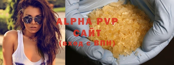 сатива Арсеньев