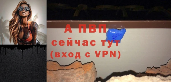 сатива Арсеньев