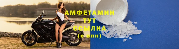 спиды Новодвинск