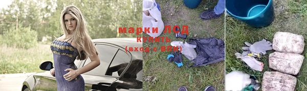 сатива Арсеньев