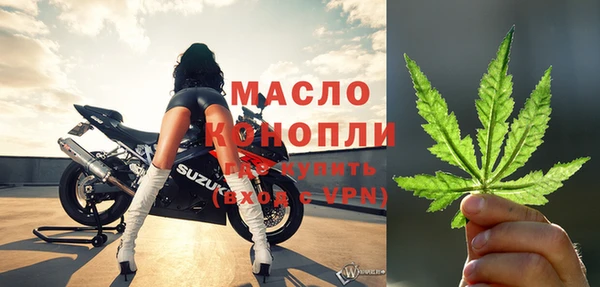 сатива Арсеньев