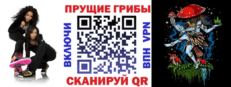 наркотики  Нижний Ломов  Галлюциногенные грибы мицелий 